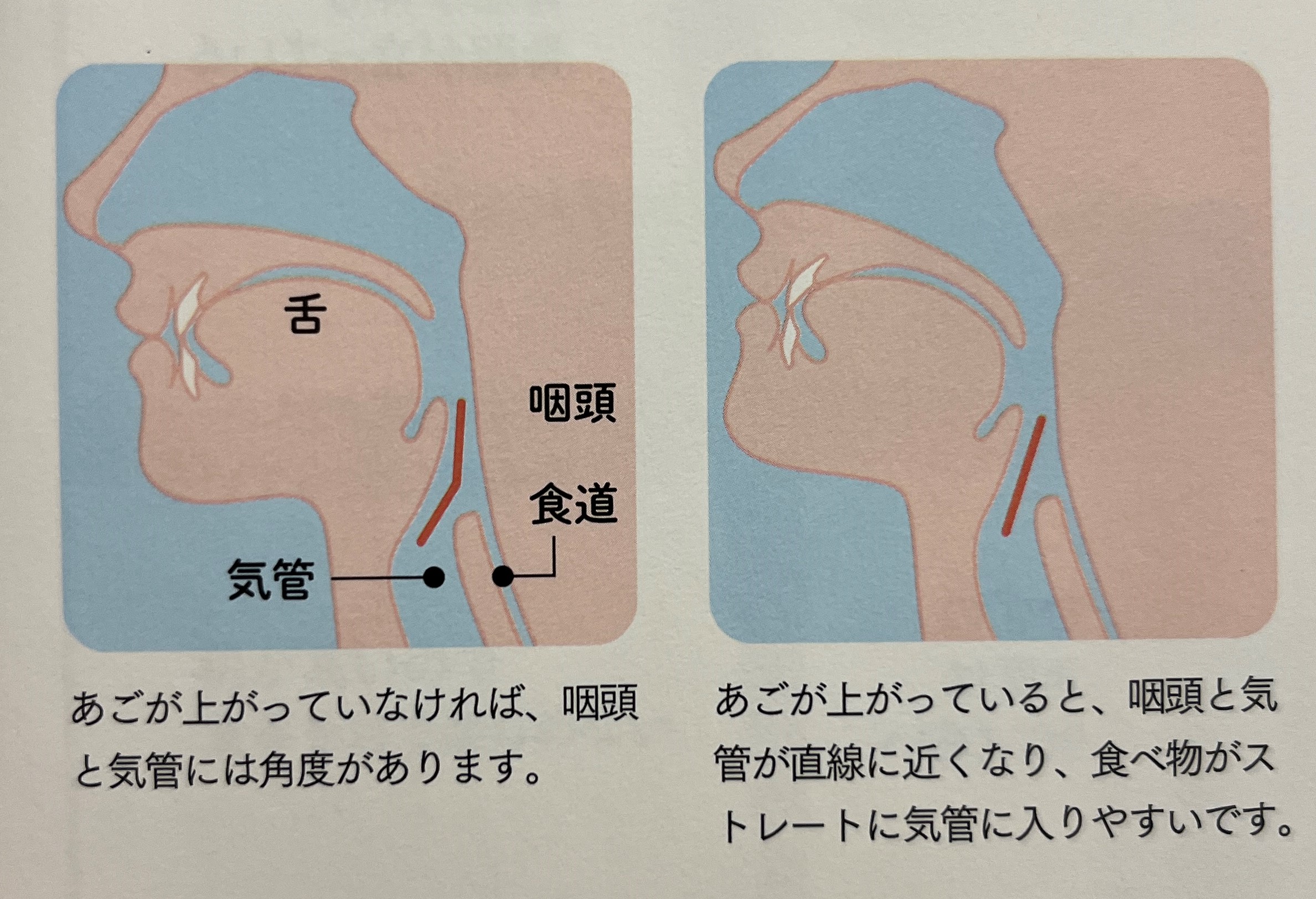 本 【裁断済み】姿勢と呼吸 歯医者さんの知りたいところがまるわかり